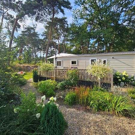 Luxe 4 Persoons Chalet Op 5 Sterren Camping Raalte Exteriör bild